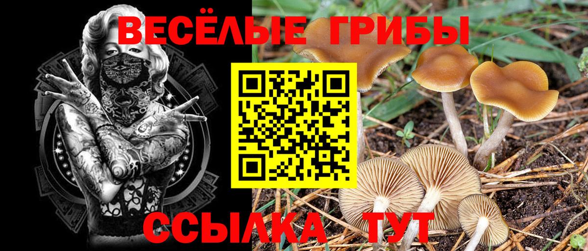 Псилоцибиновые грибы мицелий Ирбит