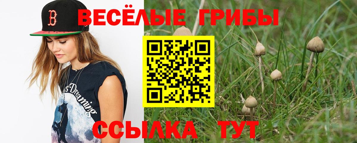 Галлюциногенные грибы MAGIC MUSHROOMS  Галлюциногенные грибы мицелий  Ирбит  Вход с VPN 